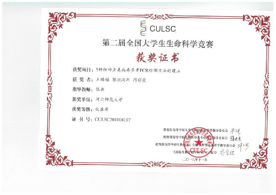 -)F¦-¦ +±+¦+ñ-T +½¦·+·+n+¦-º+¦+n++-p+¦.jpg